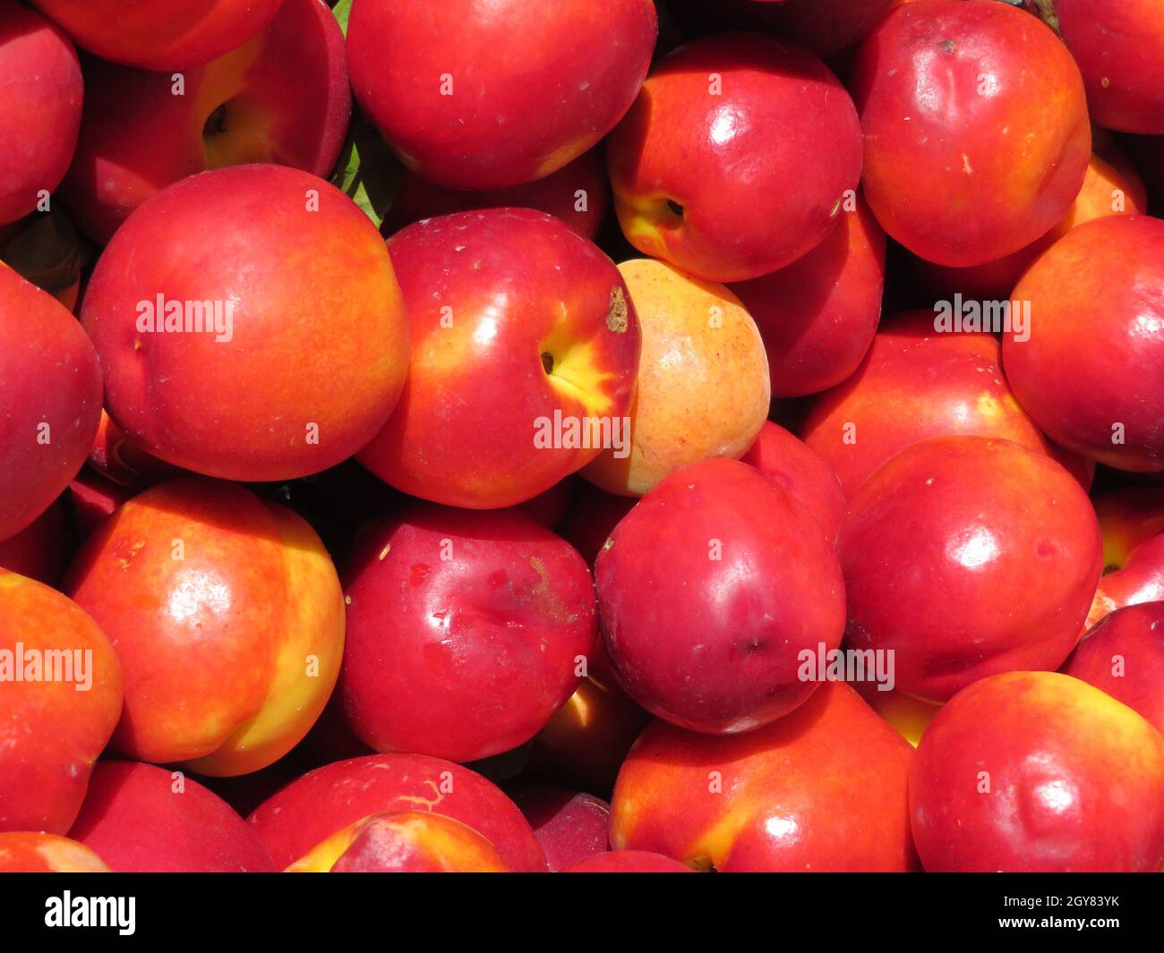delicious nectarine fruit flavor color aroma natural vitamins Stock ...