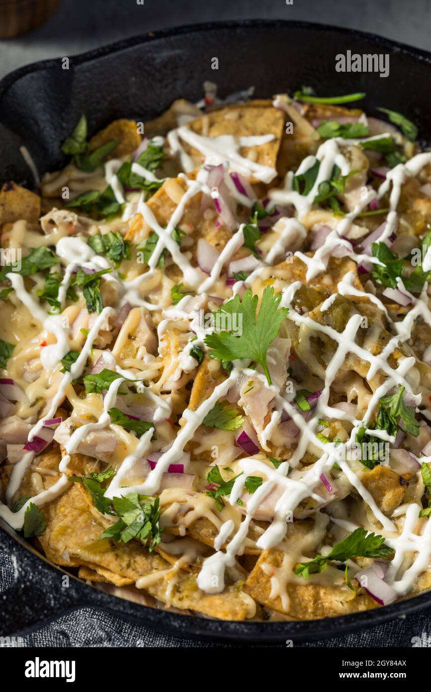 Homemade Mexican Green Chilaquiles with Tomatillo and Chicken Stock Photo