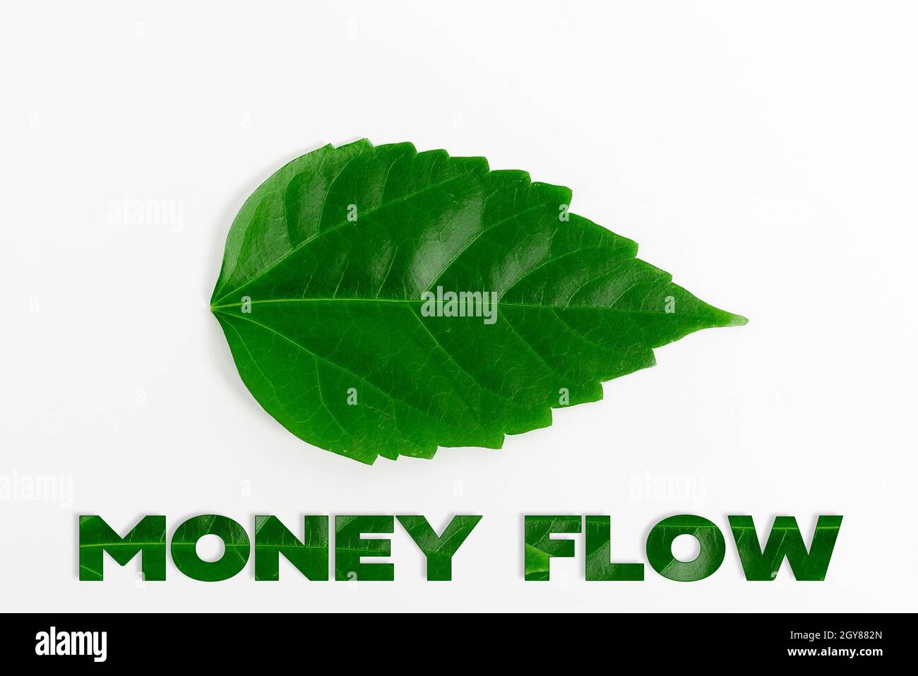 Text caption presenting Money Flow, Business approach it is an indicator of positive or negative in a current day Nature Conservation Ideas, New Envir Stock Photo