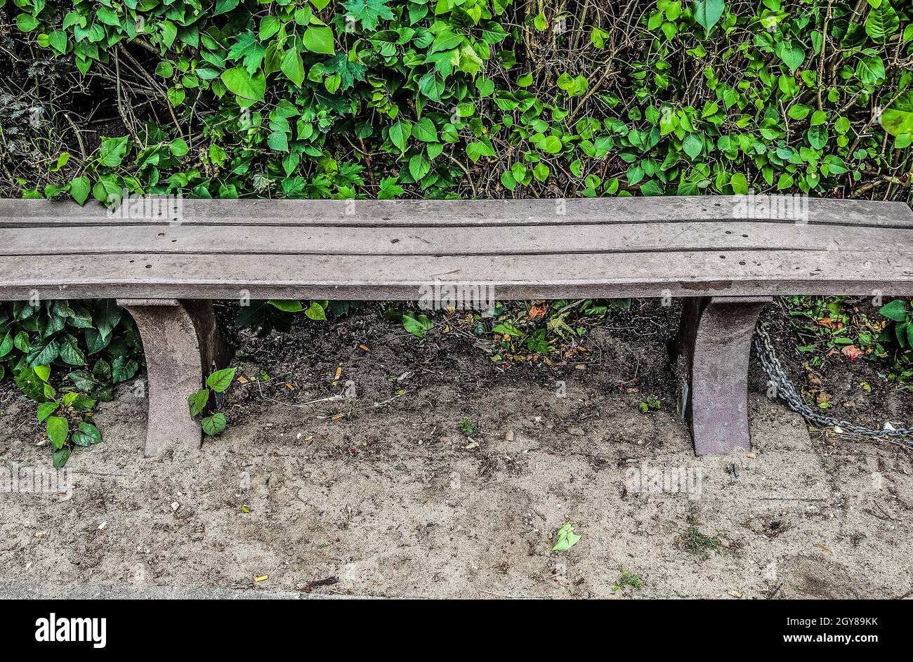 Nature table found object hi-res stock photography and images - Alamy