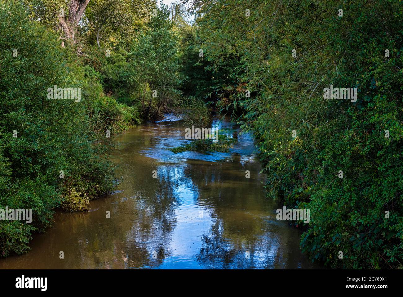 River Medway at Penshurst in Kent, England Stock Photo