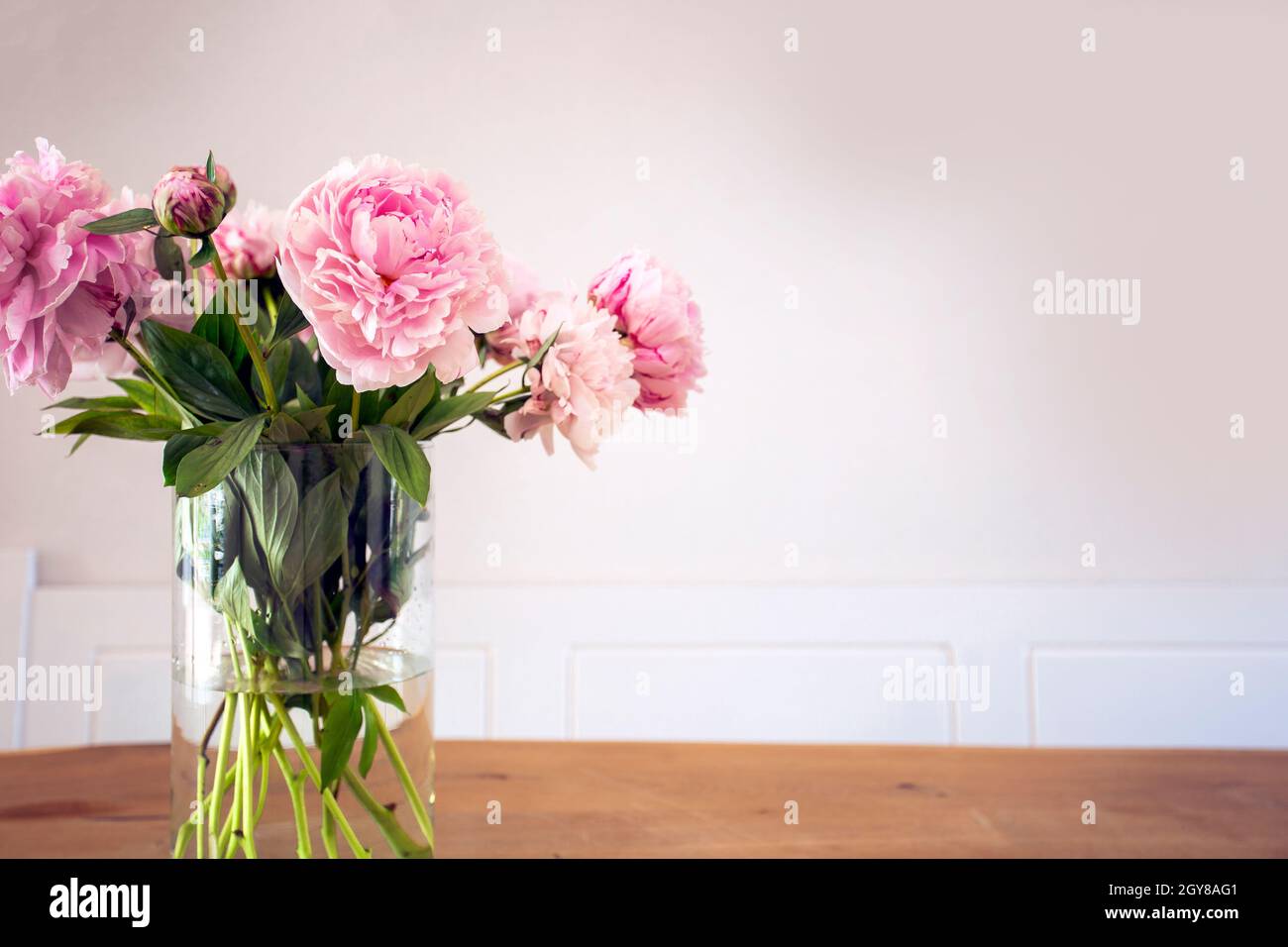 A bunch of pastel pink peony with green leaves in glass vase on the ...