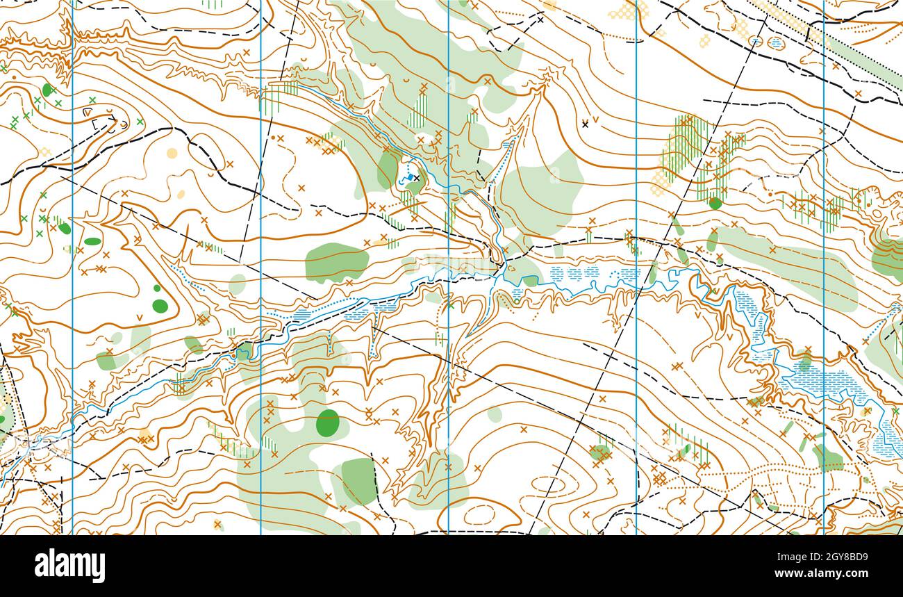 Detailed fragment of abstract vector topographic map Stock Photo - Alamy