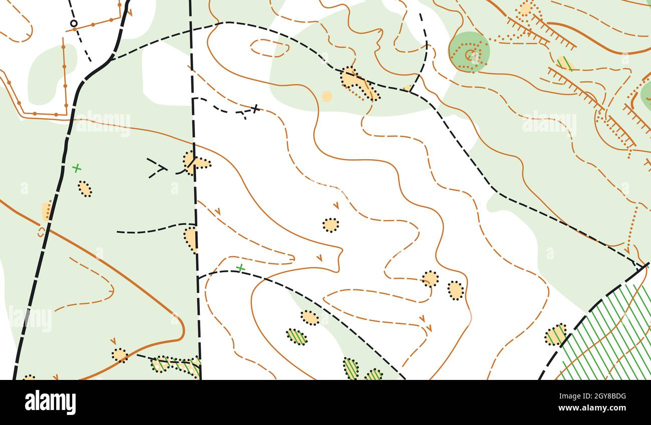 Detailed fragment of abstract vector topographic map Stock Photo - Alamy