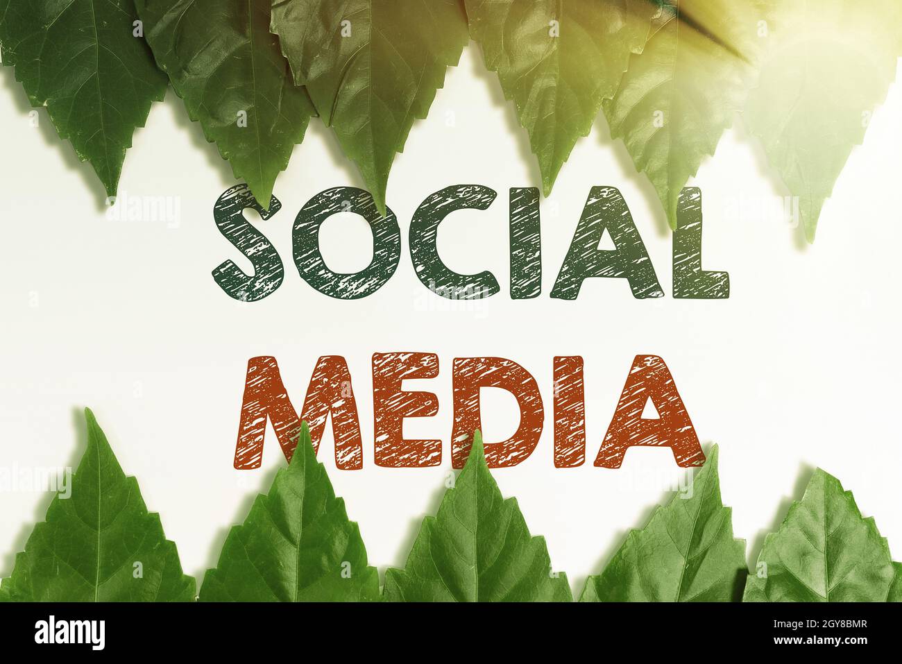 Text caption presenting Social Media, Conceptual photo Online communication channel Networking Microblogging Saving Environment Ideas And Plans, Creat Stock Photo