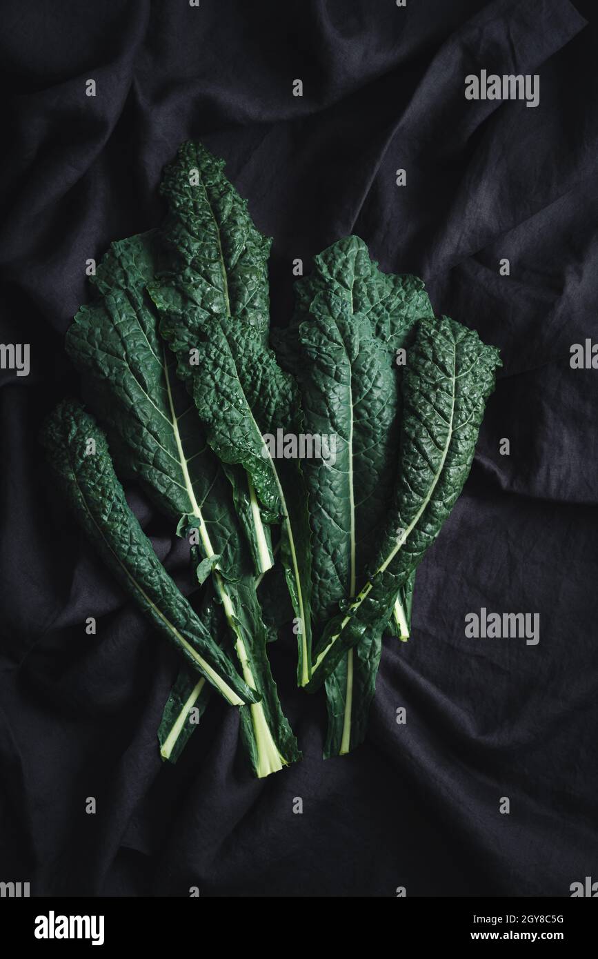 Cavolo nero black curly kale vegetable on black cloth Stock Photo