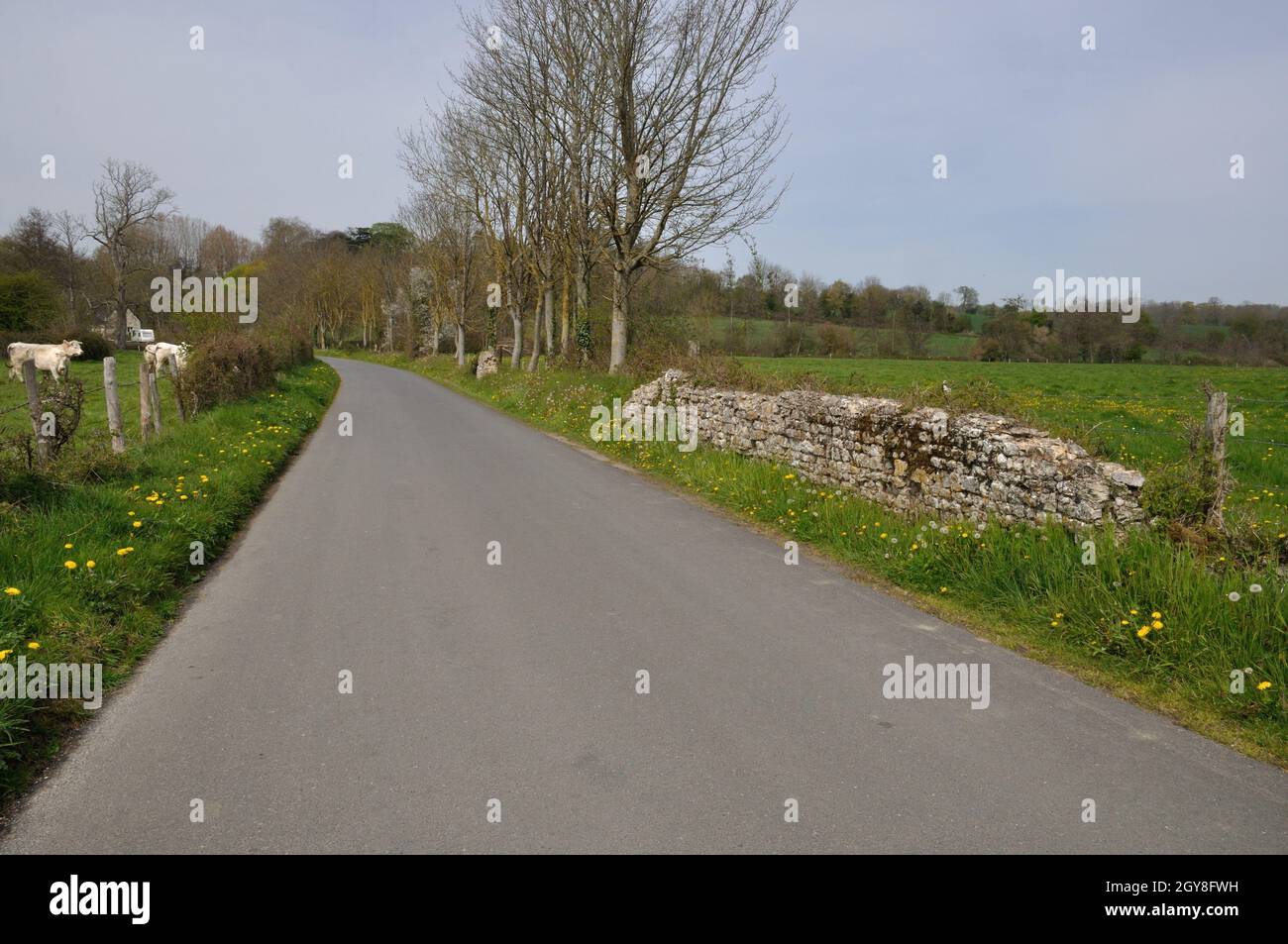 Contryside Rouds A road in Normandy contryside Stock Photo - Alamy