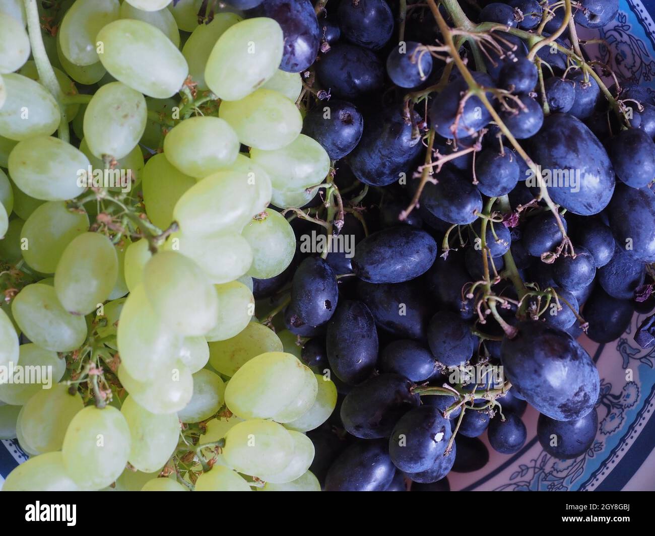 white and red grape (scientific name Vitis vinifera) vegetarian fruit food Stock Photo Alamy