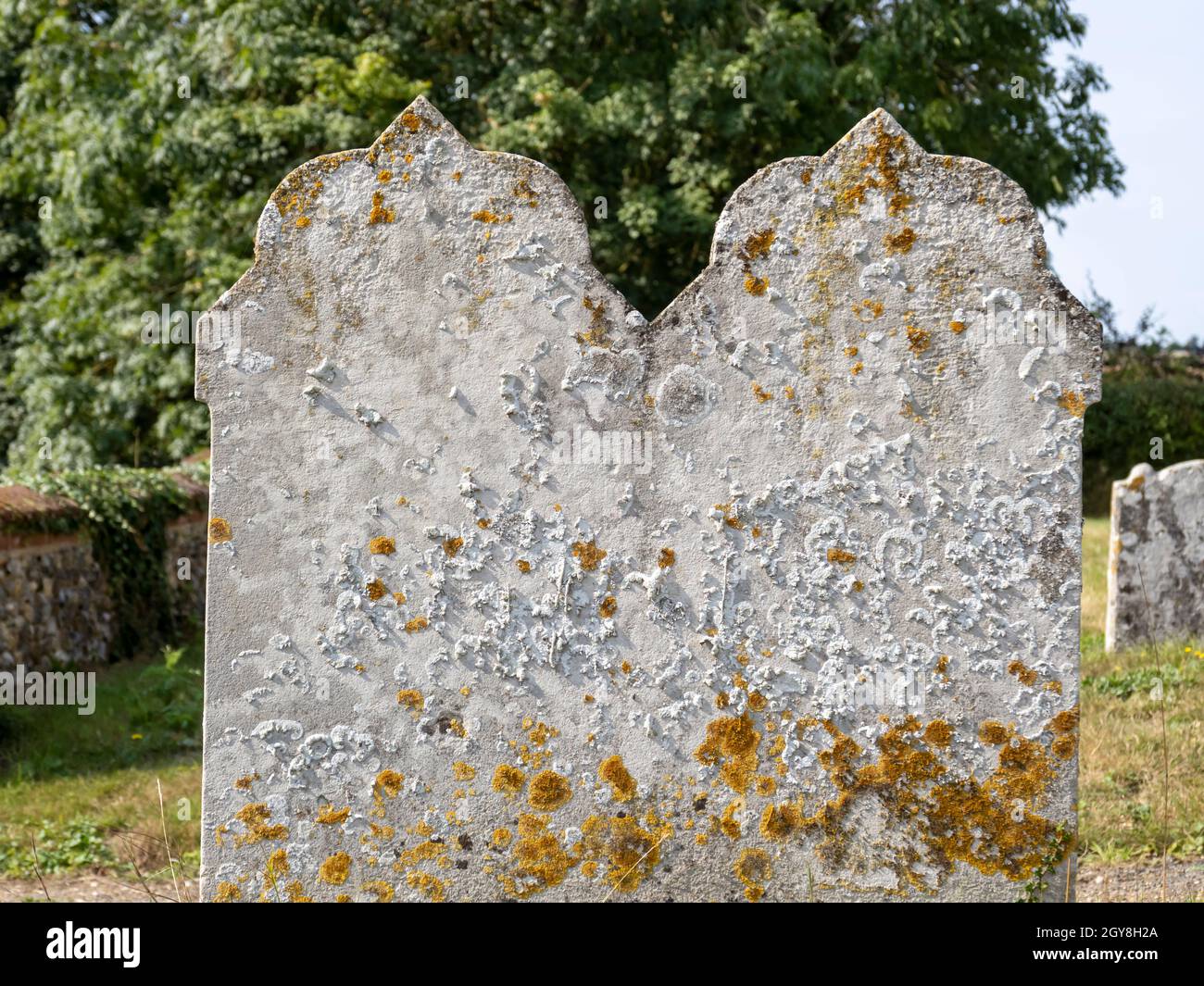 Lichen on the gravestone hi-res stock photography and images - Alamy