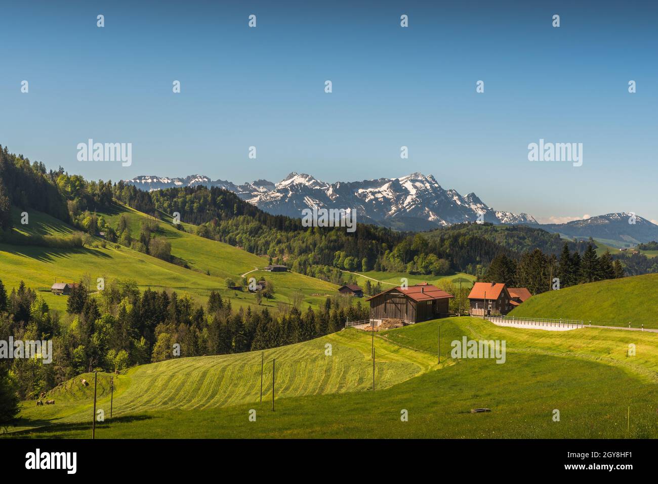Farm houses and meadows in Appenzellerland with view of the Saentis,  Canton Appenzell Ausserrhoden, Switzerland Stock Photo