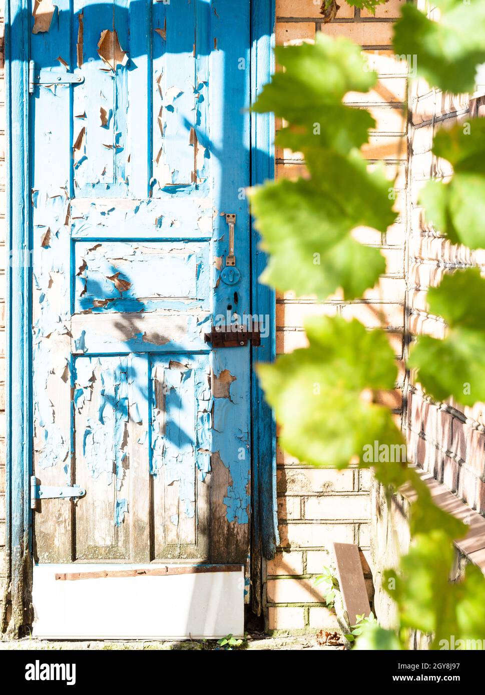 shabby blue wooden outdoor door of shed on sunny day Stock Photo
