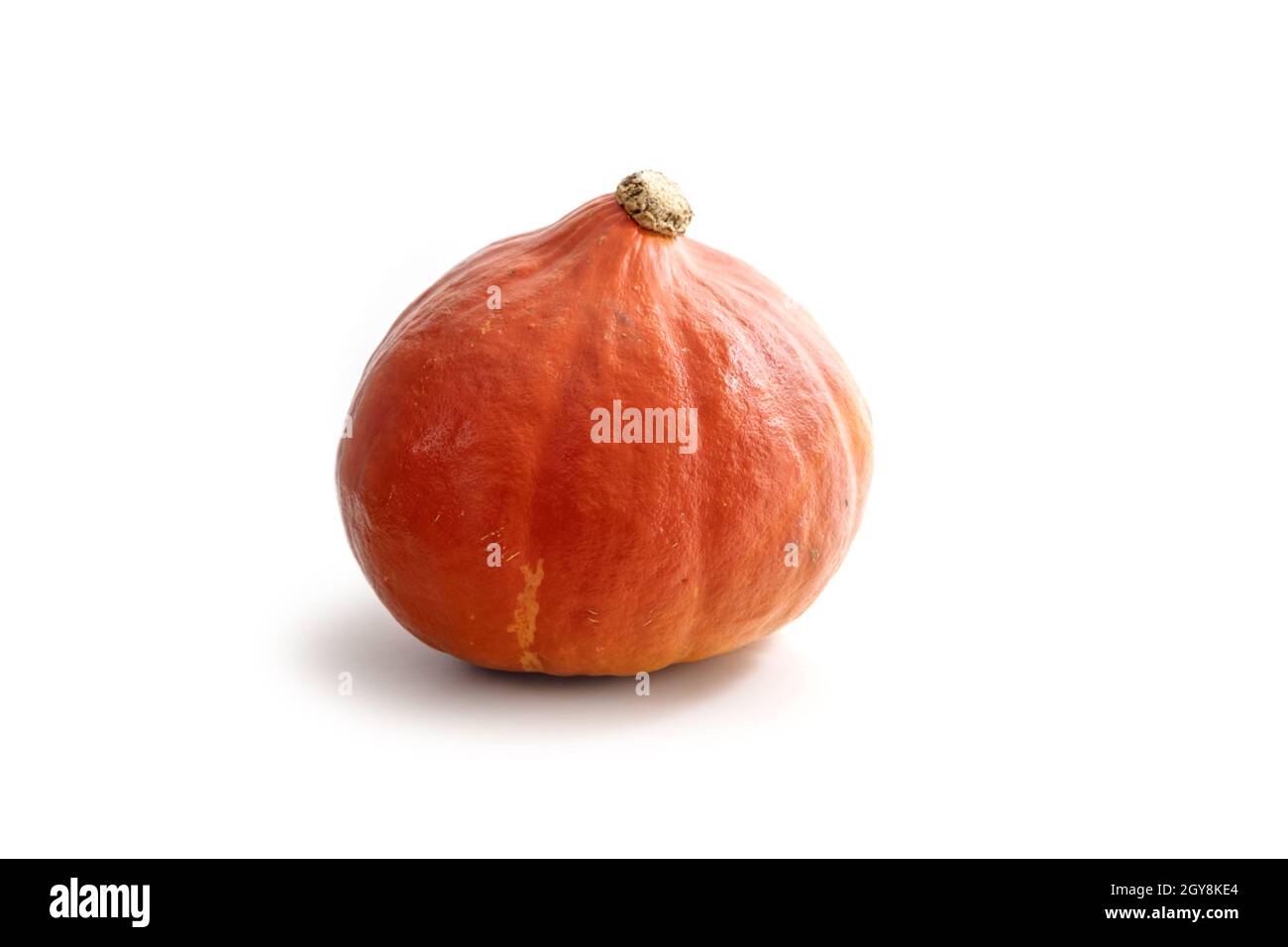 Hokkaido pumpkin or red kuri squash isolated on a white background, healthy seasonal vegetable for Halloween and Thanksgiving, copy space, selected fo Stock Photo