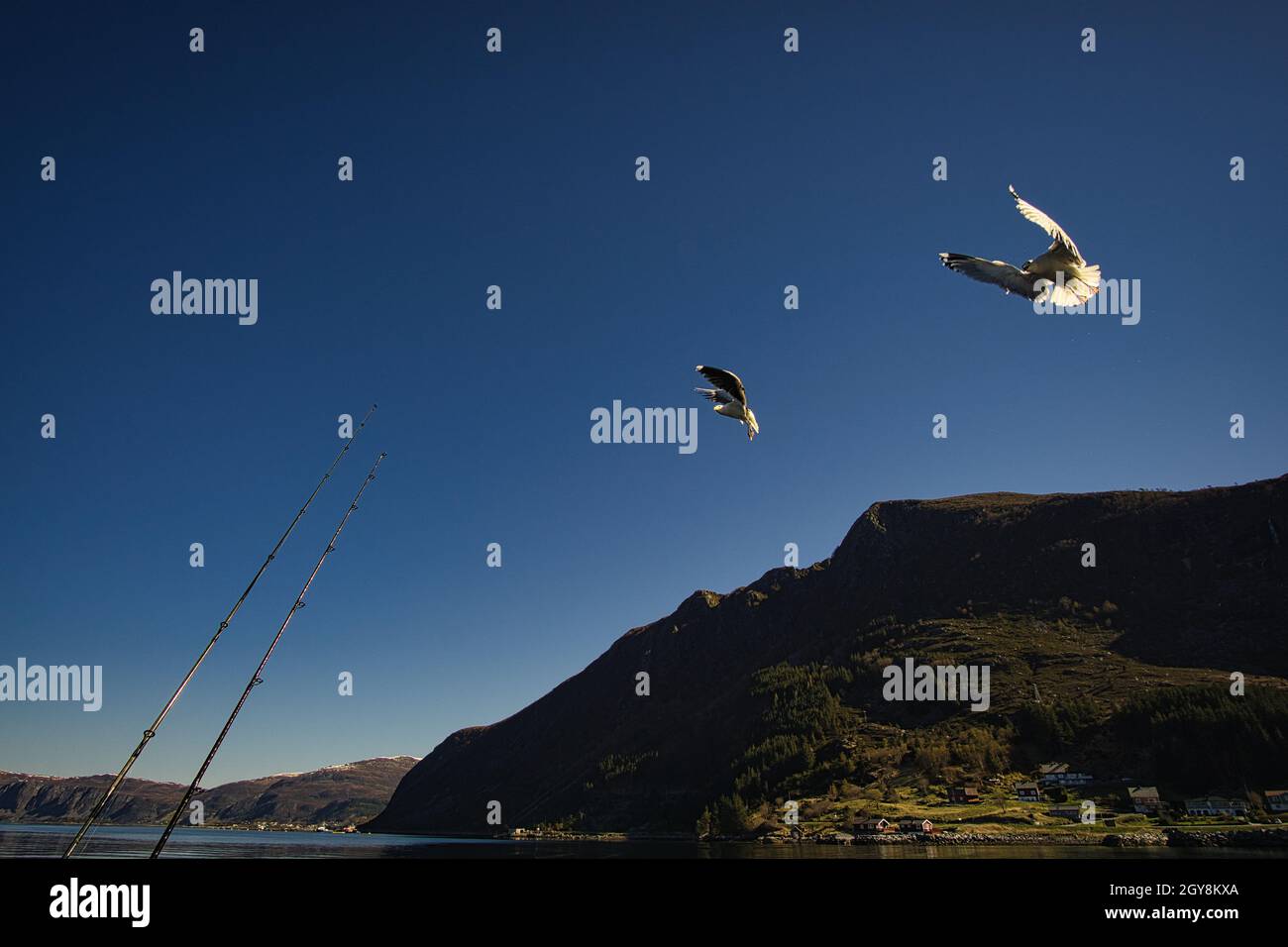 fishing vacation in Selje norway. Rod and reel are ready to fish. a