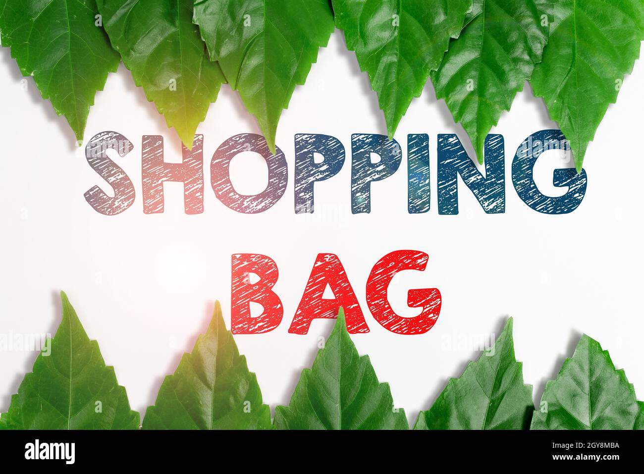 Conceptual caption Shopping Bag, Concept meaning Containers for