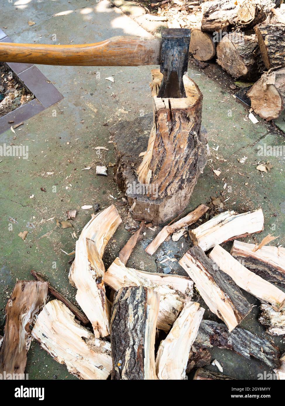 cleaver ax in log near chopped firewood in backyard of village Stock