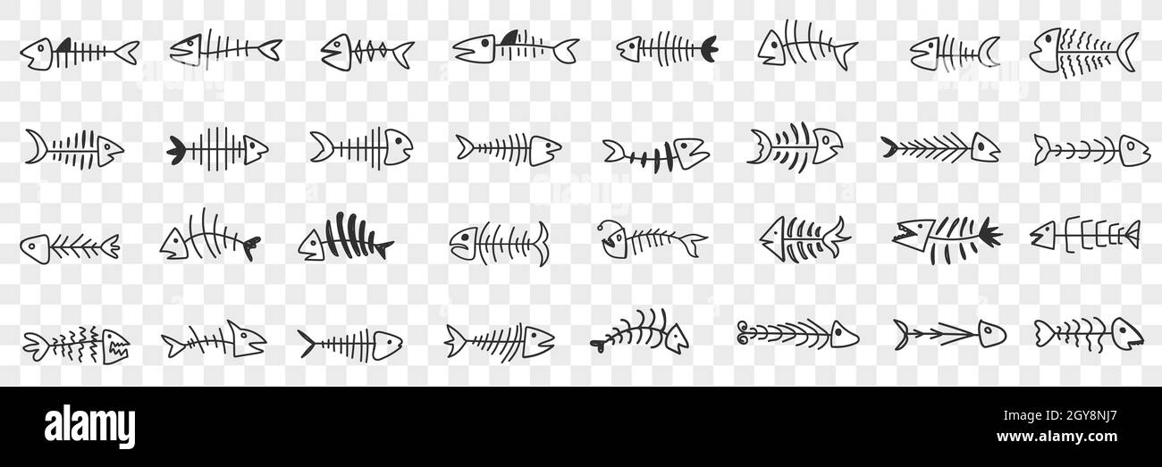 Fish bones pattern doodle set. Collection of hand drawn various shapes