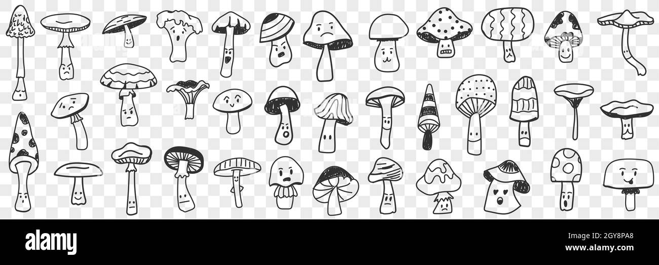 Edible and inedible mushroom doodle set. Collection of hand drawn edible and inedible mushrooms types growing in forest for picking isolated on transp Stock Photo