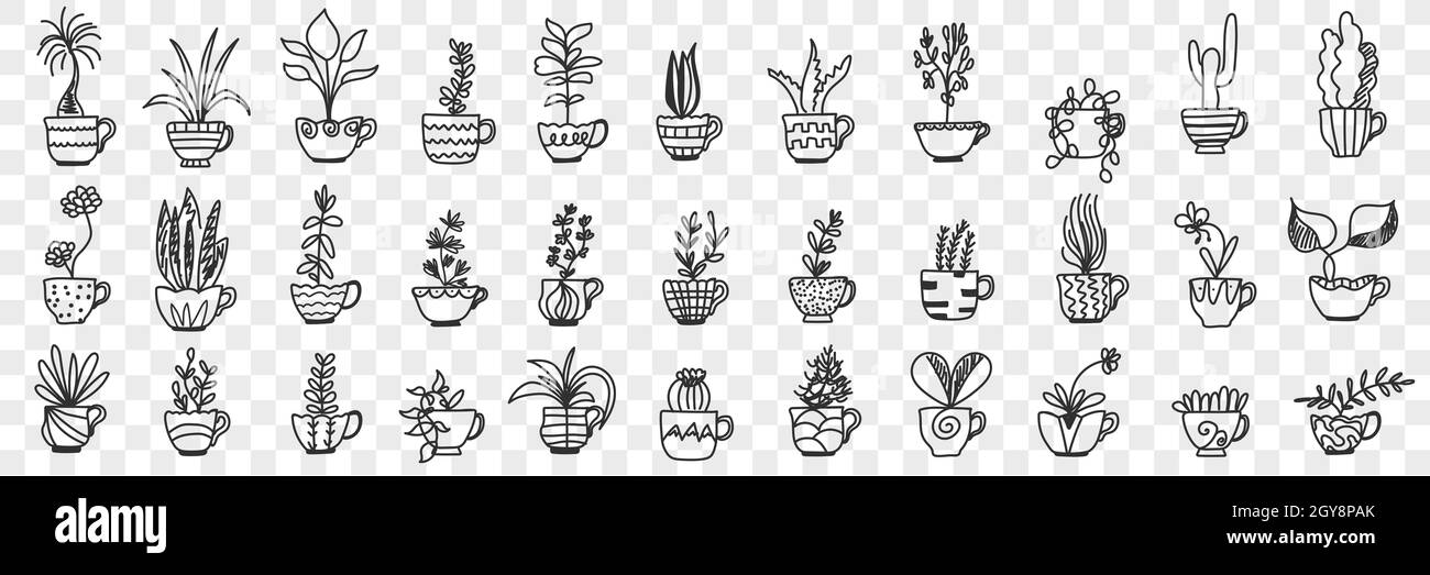 Plants in pots doodle set. Collection of hand drawn various homegrown ...