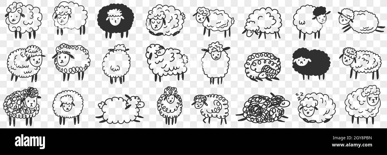 Funny white and black sheep animals doodle set. Collection of hand drawn various funny cute fluffy sheets in farms in different poses enjoying life is Stock Photo - Alamy Funny white and black sheep animals doodle set. Collection of hand drawn various funny cute fluffy sheets in farms in different poses enjoying life is Stock Photo - Alamy