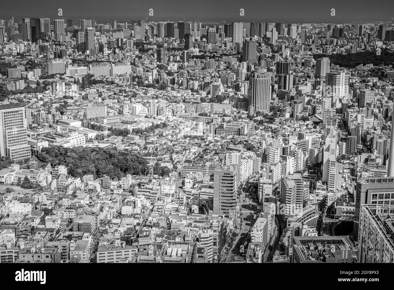 The view from the Shibuya Sky observatory. Shooting Location: Tokyo metropolitan area Stock Photo