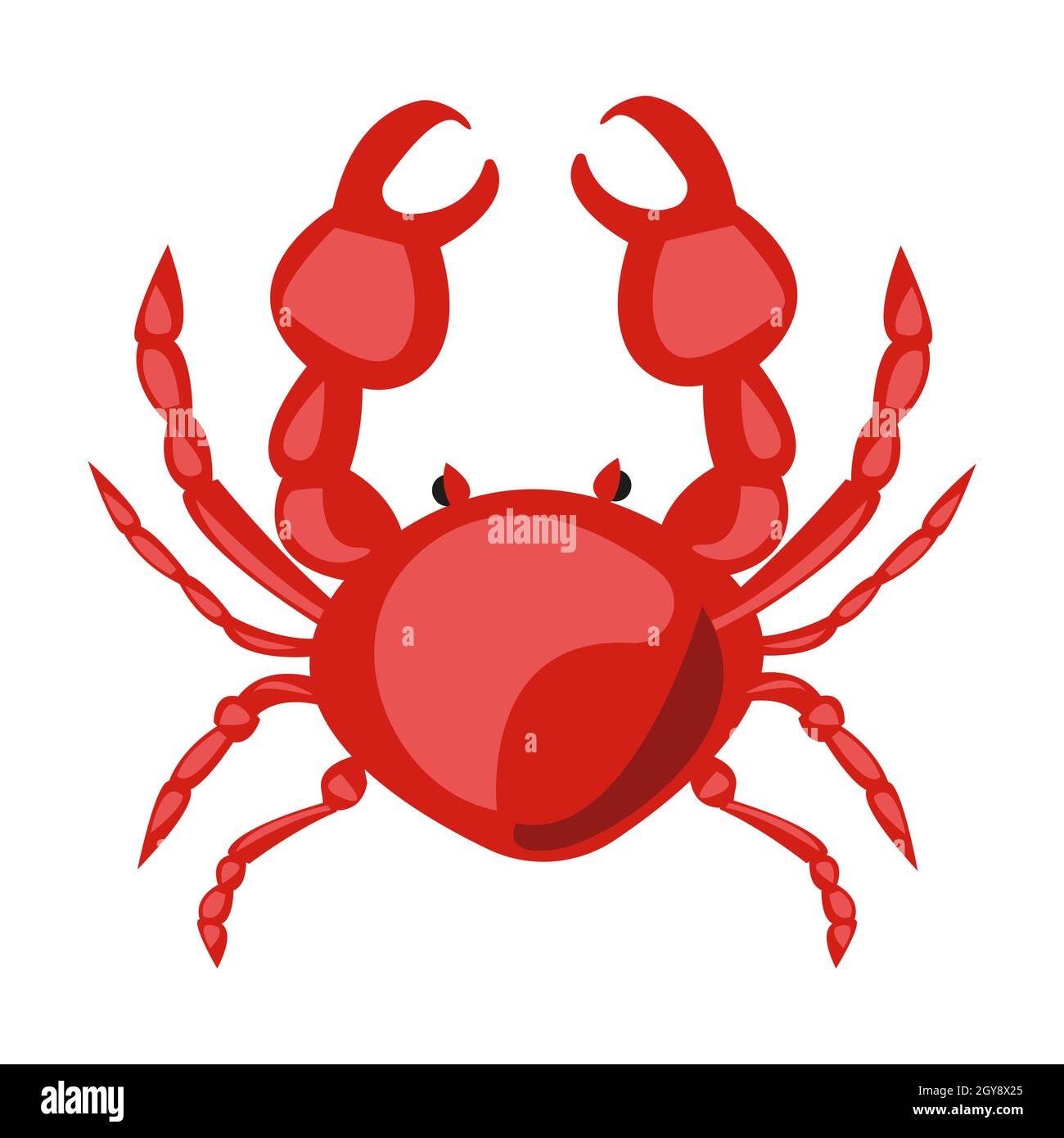 Realistic fresh crab on white background - Vector illustration Stock Photo