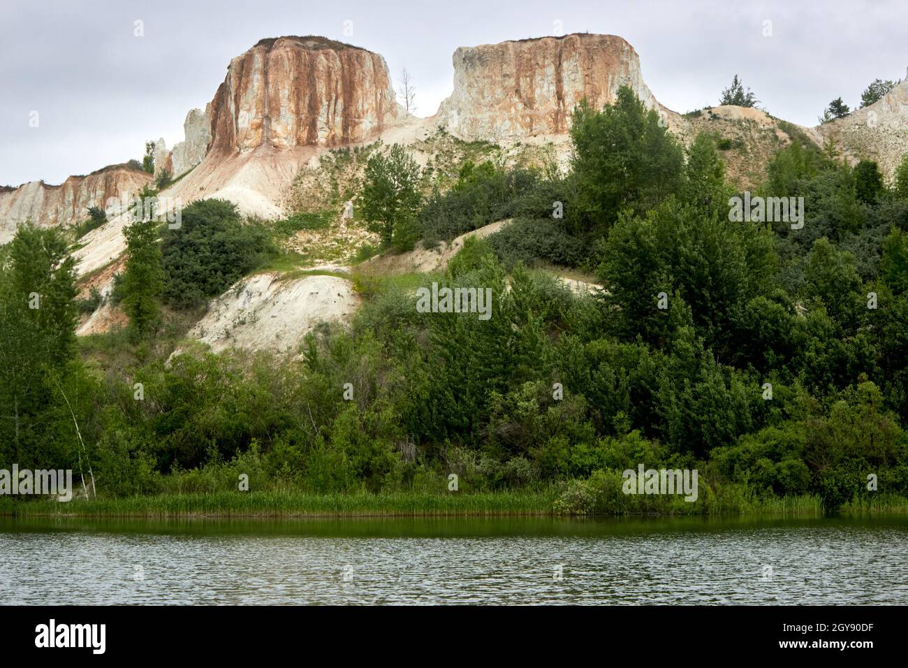 Beautiful natural landscape. White chalk cliffs, thickets of trees, a