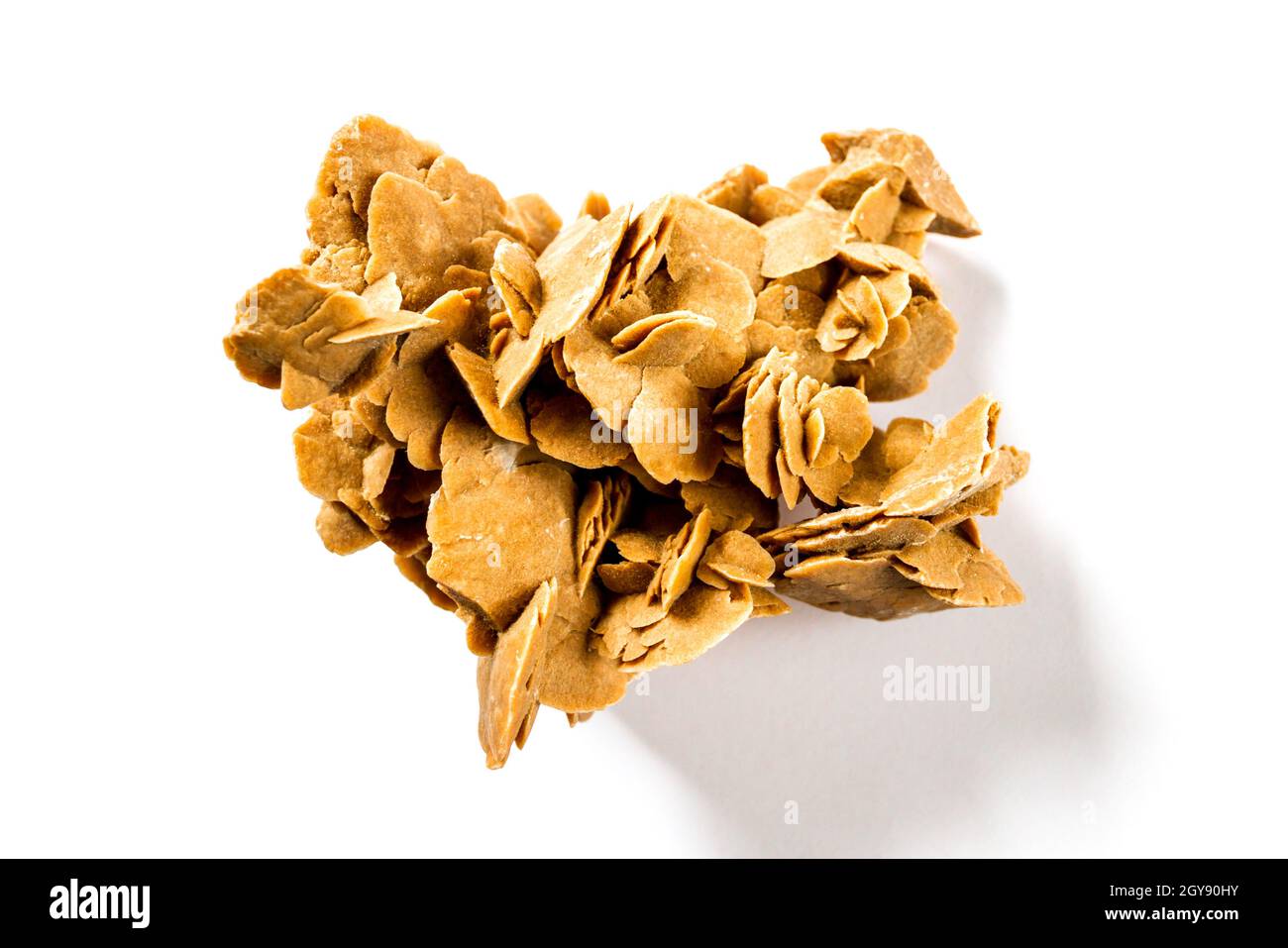 Desert rose crystal isolated on white background. Closeup view Stock Photo