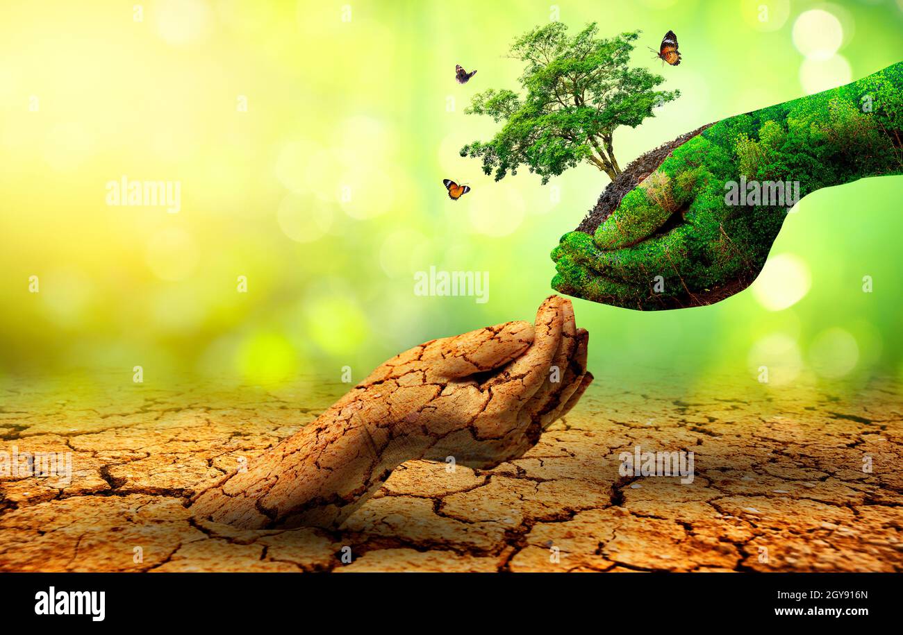World environment day hi-res stock photography and images - Alamy World environment day hi-res stock photography and images - Alamy