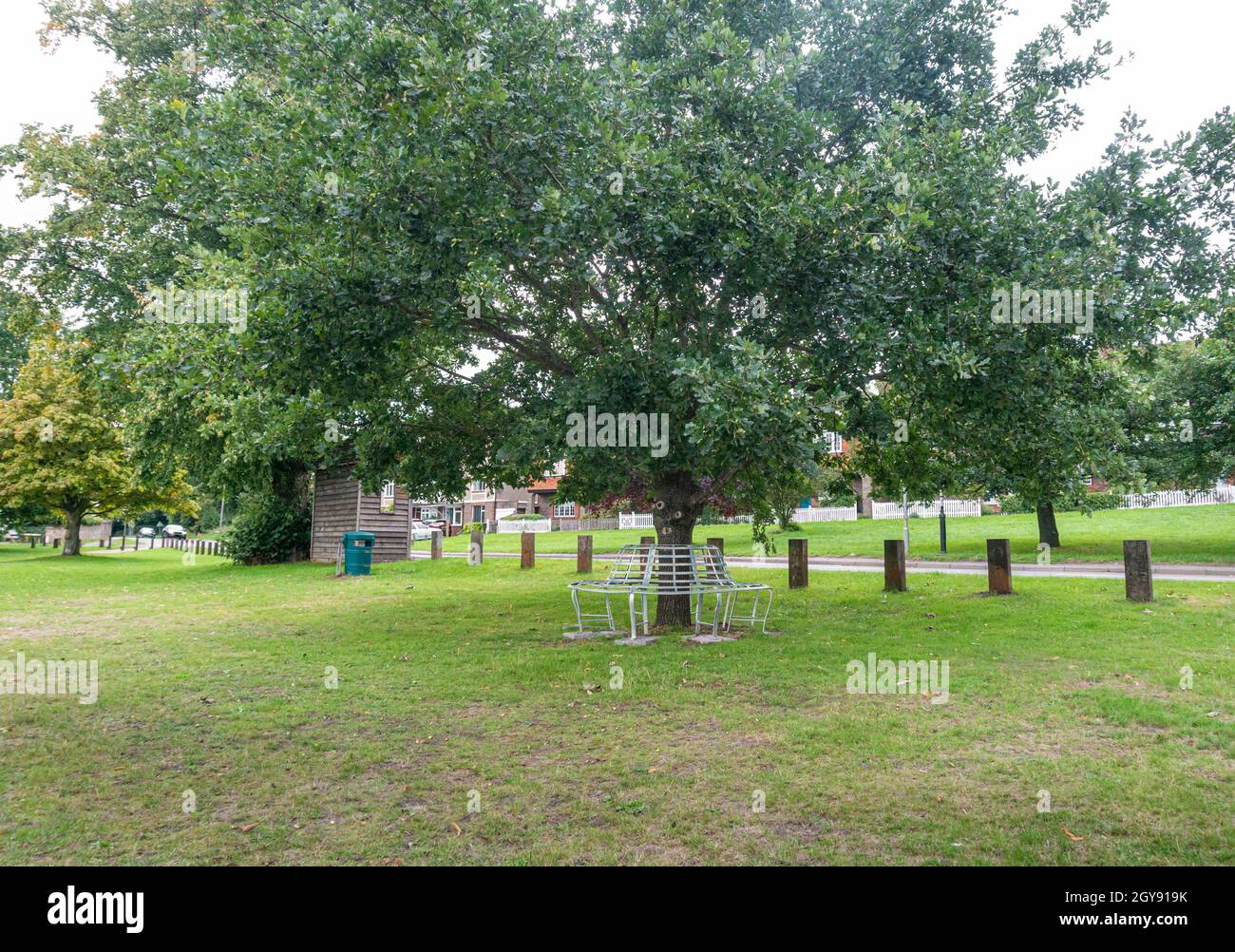 A circular bench around the trunk of a tree on Godstone Green, Godstone, Surrey Stock Photo
