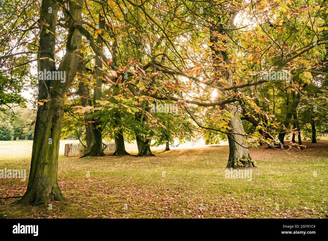 Beautiful scenic public park hi-res stock photography and images - Alamy