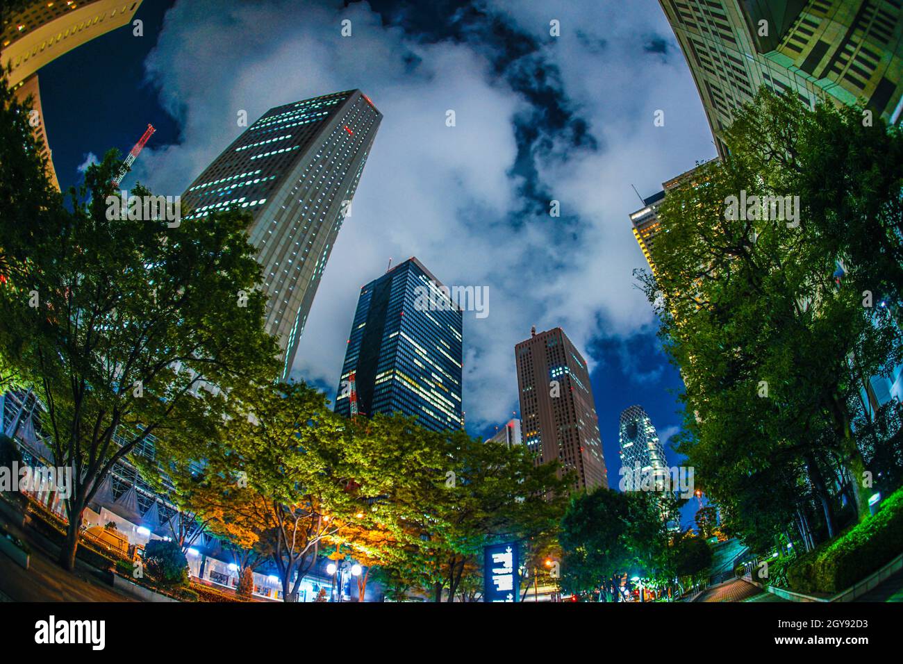 Tokyo Shinjuku of skyscrapers night view. Shooting Location: Tokyo metropolitan area Stock Photo