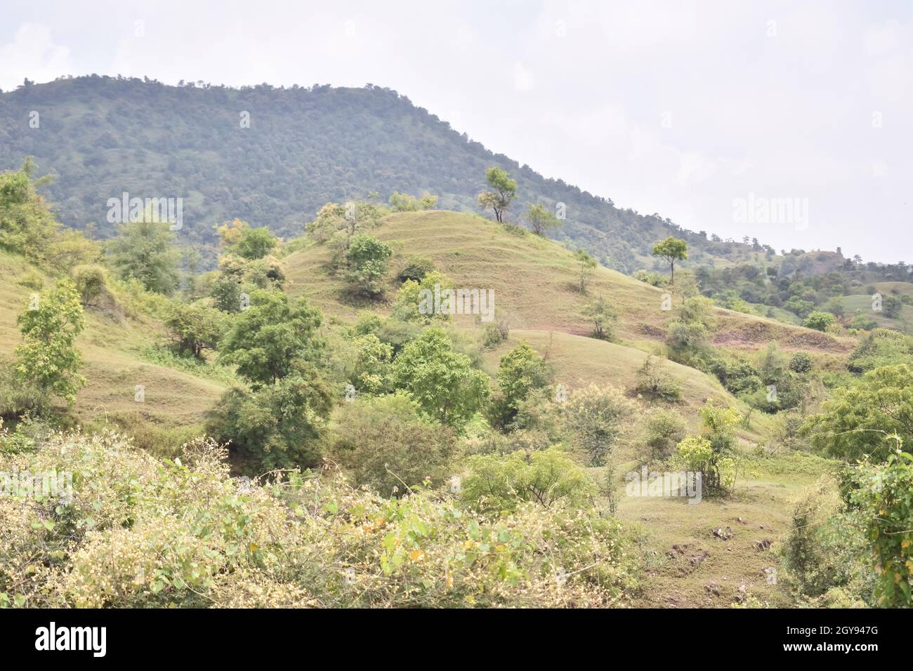 View of a valley and green hills Stock Photo - Alamy