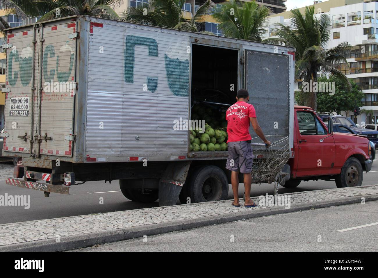 A fresh delivery of coconuts being delivered to a beach stall for