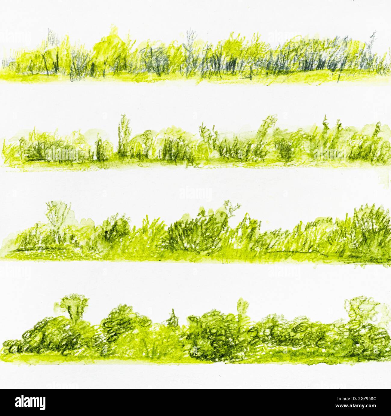 set of sketches of summer landscapes with trees and bushes hand-drawn by watercolor pencils on white textured paper Stock Photo