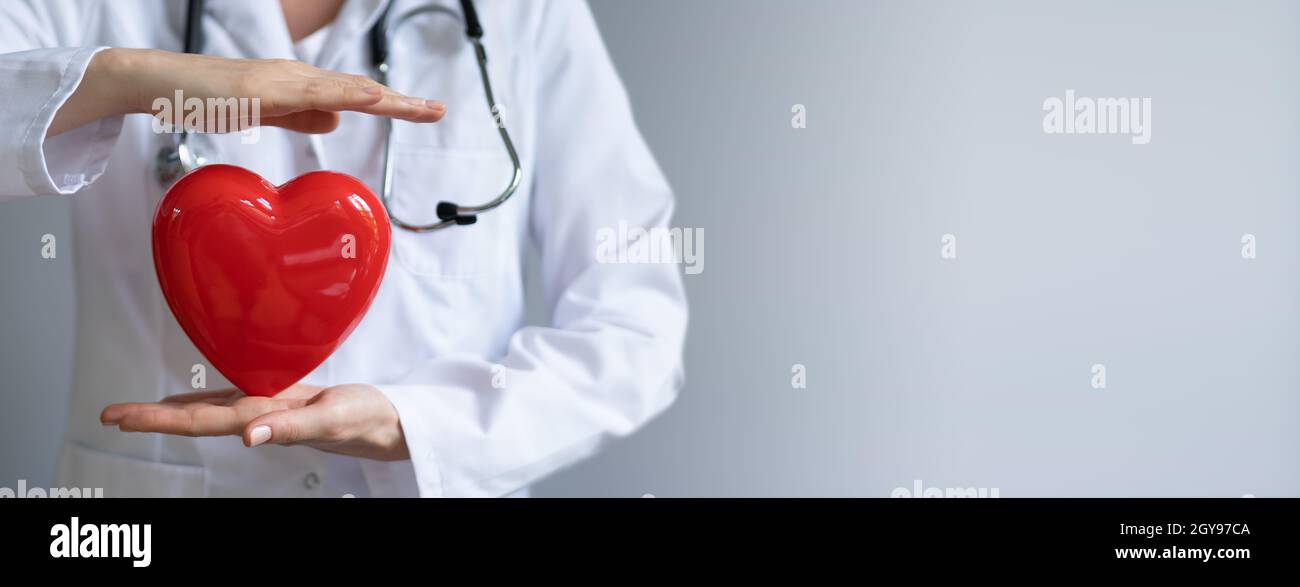 Doctor With Stethoscope Holding Heart. Cardiology Insurance Concept ...