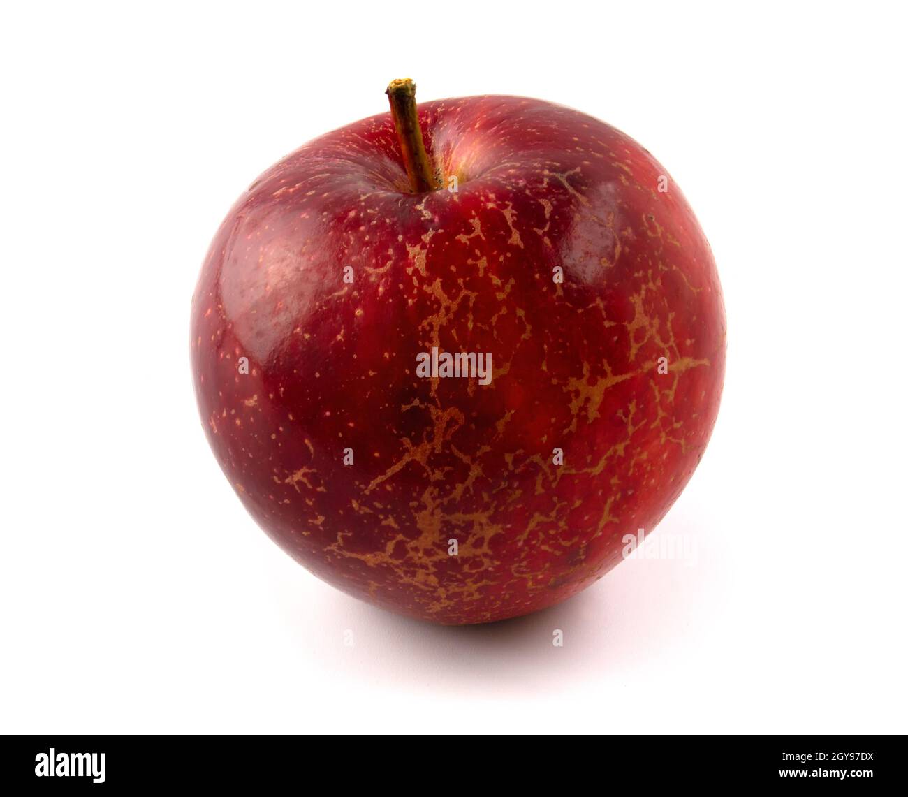 Red apple with texture isolated on white background Stock Photo