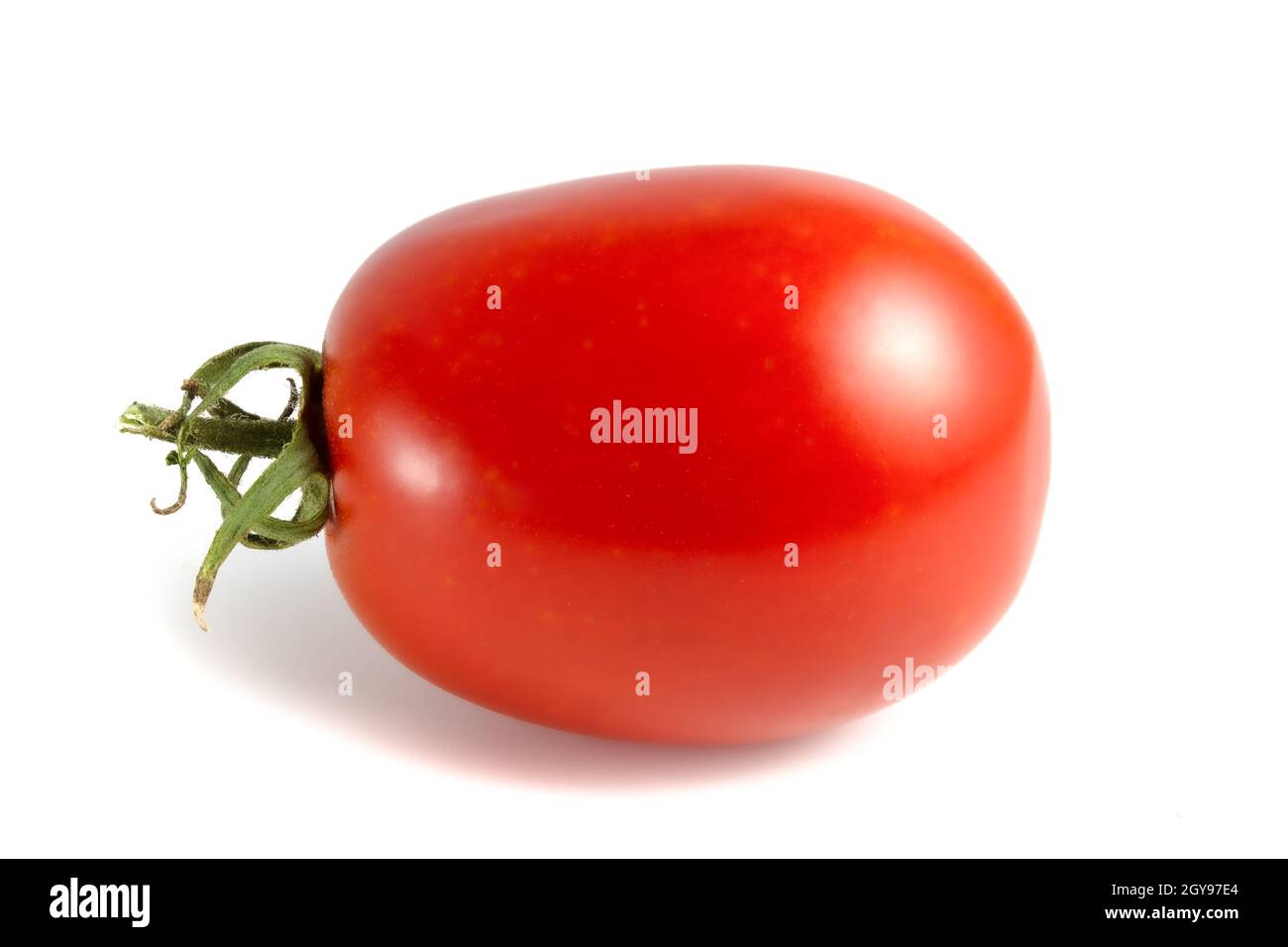 Oblong tomato isolated on white background. Stock Photo