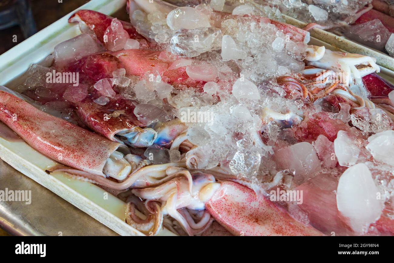 Squid octopuses and other disgusting seafood Thai food cuisine at