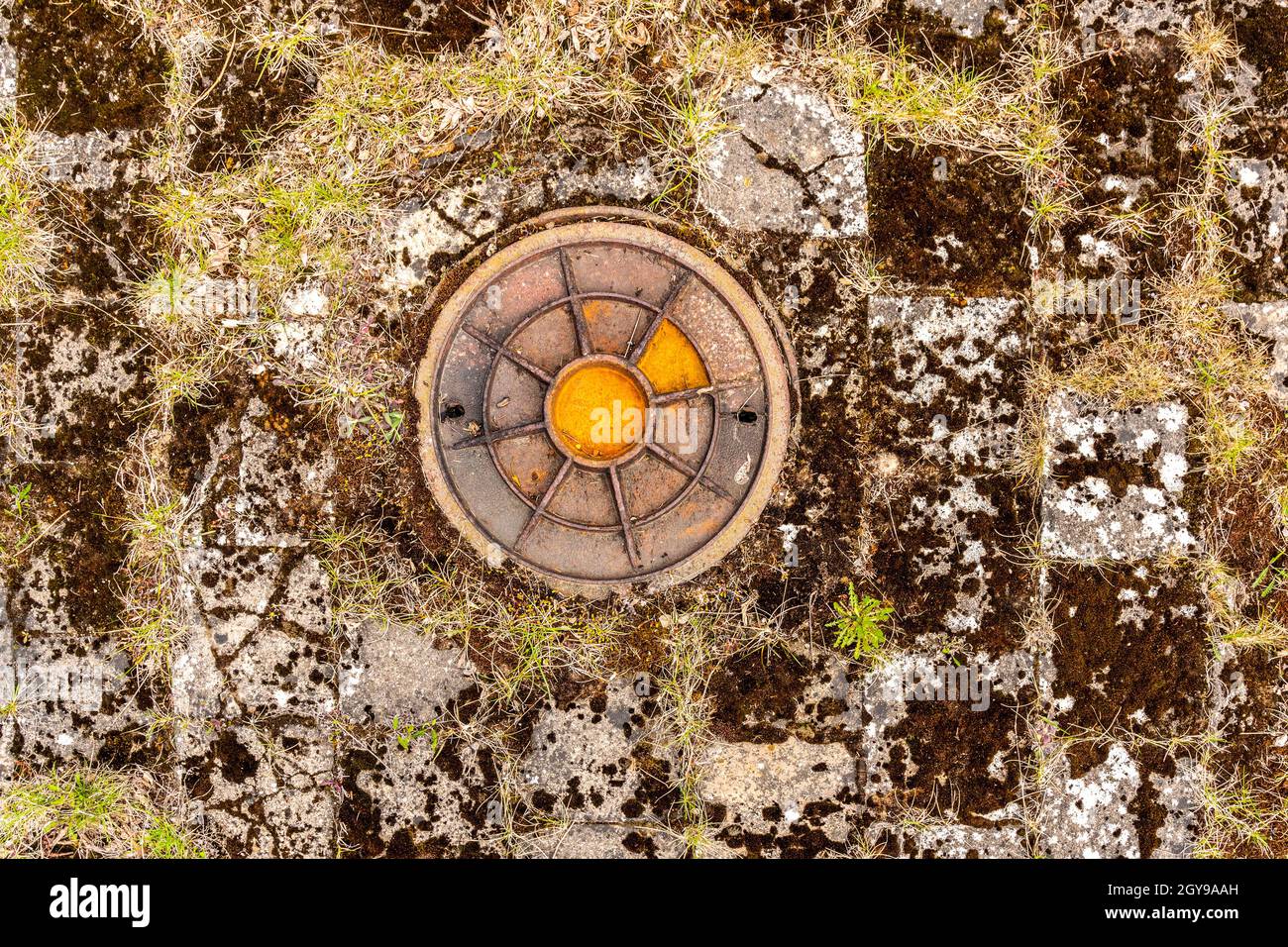 Old round iron manhole on the abandoned old tile with grass growing between the joints of the tile Stock Photo