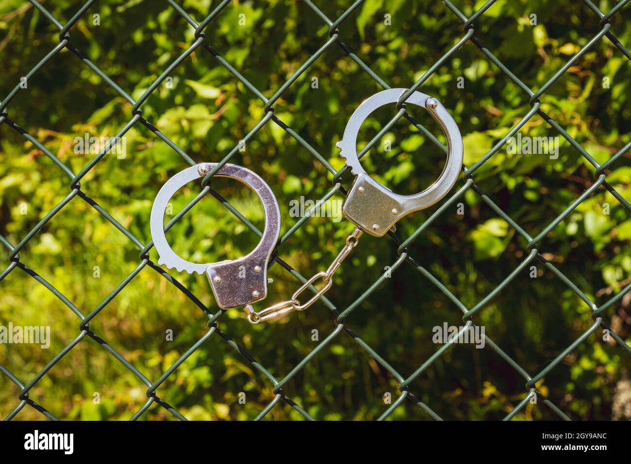Handcuffs hanging on the metal fence with nature background Stock Photo