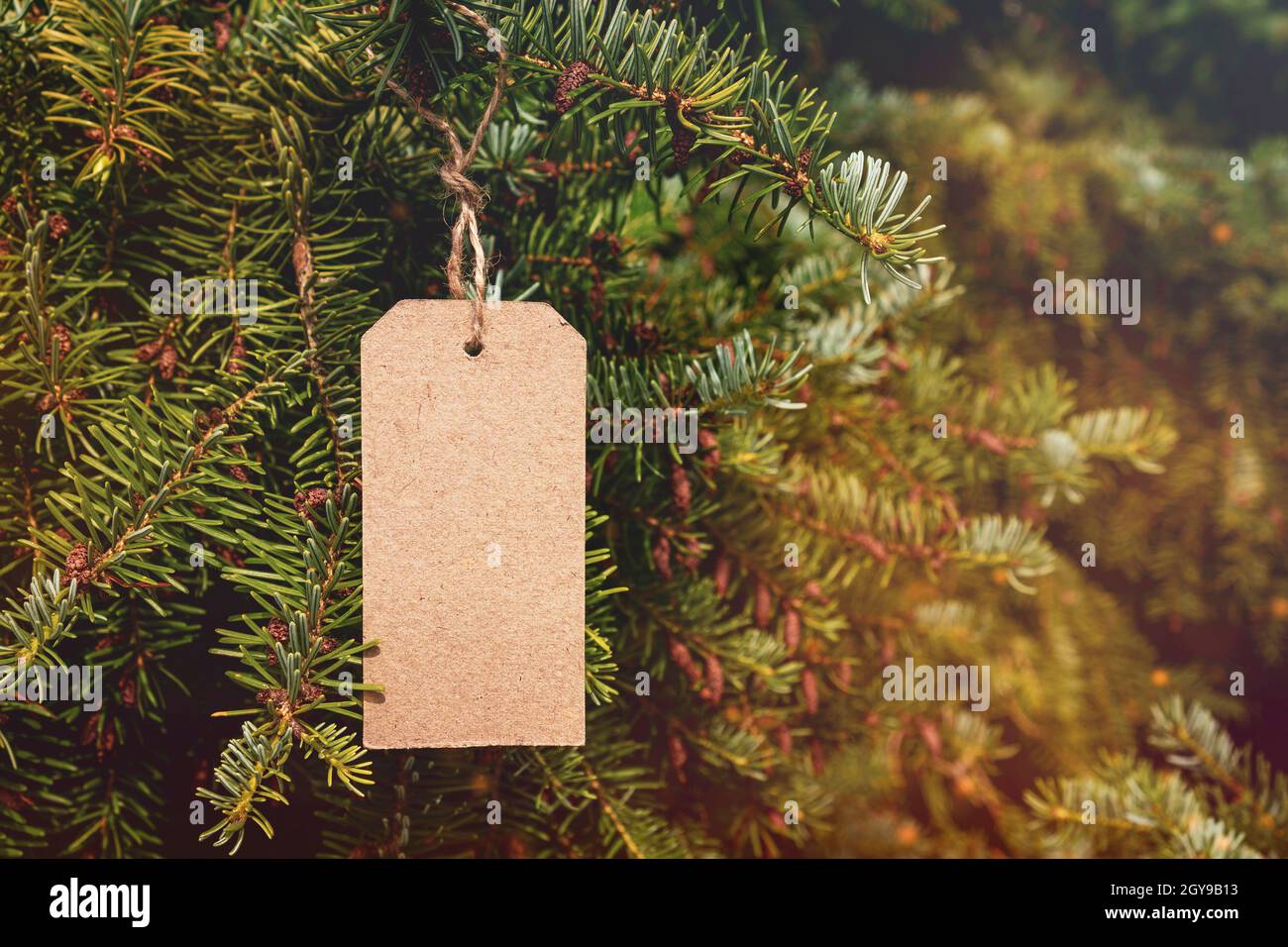Christmas tree price tags hi-res stock photography and images - Alamy