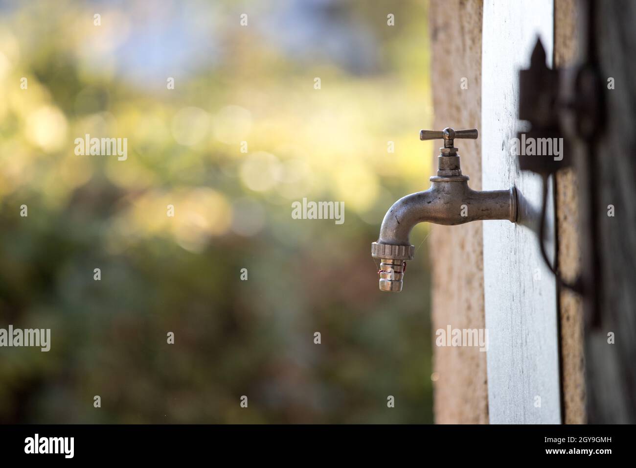 Close up picture of a pigot on a farm, outdoors Stock Photo - Alamy