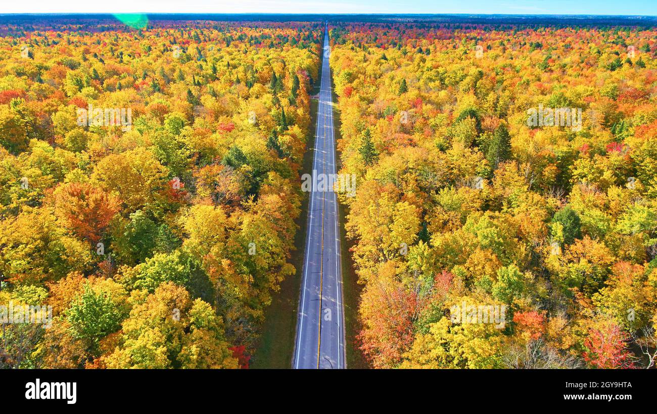 Straight and empty road through fall trees and a sun glare Stock Photo