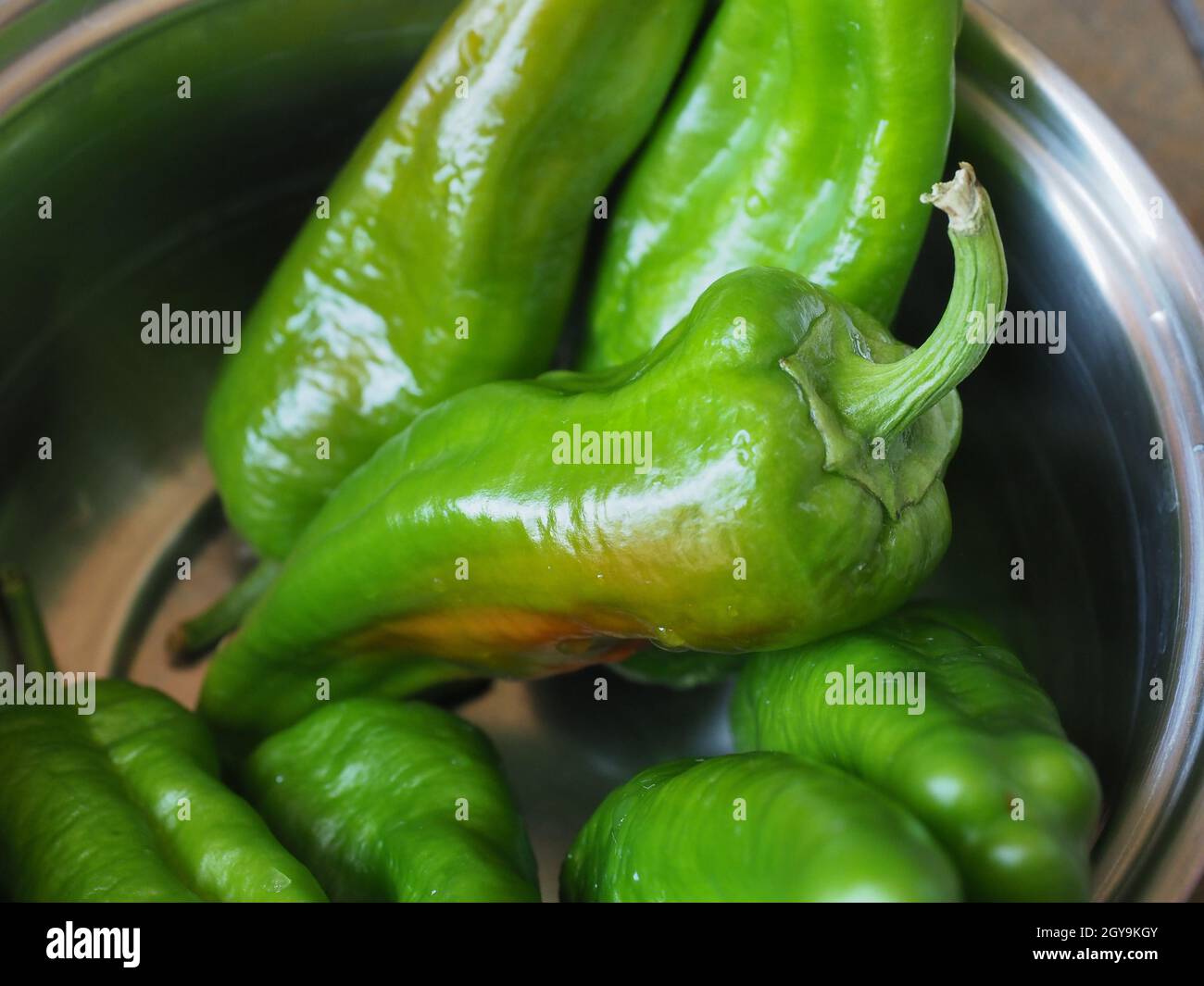 green peppers (scientific name Capsicum aka bell peppers) vegetables