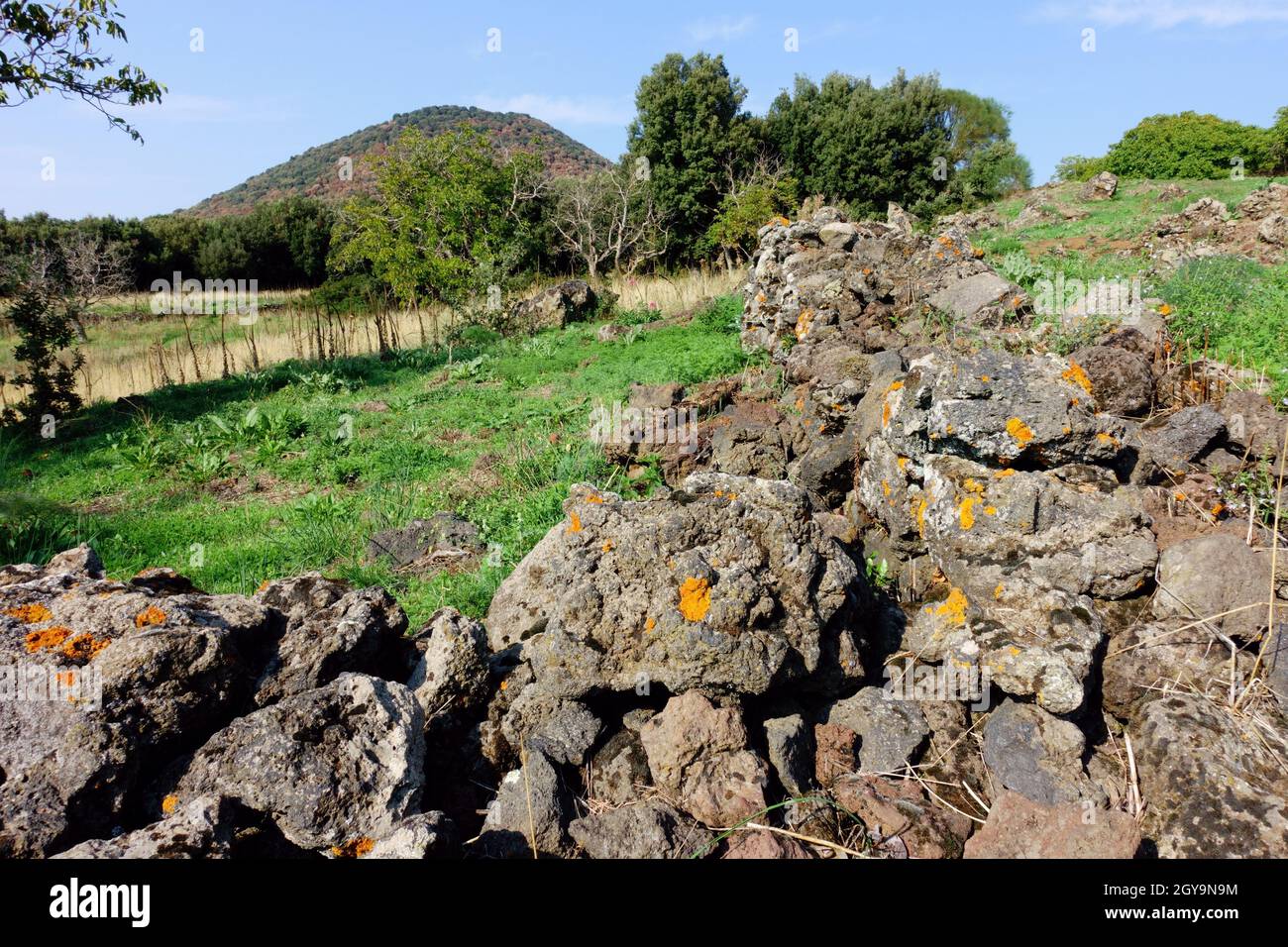 autumn colors of Sicily nature in mountain volcanic rock and green grass of Etna Park Stock