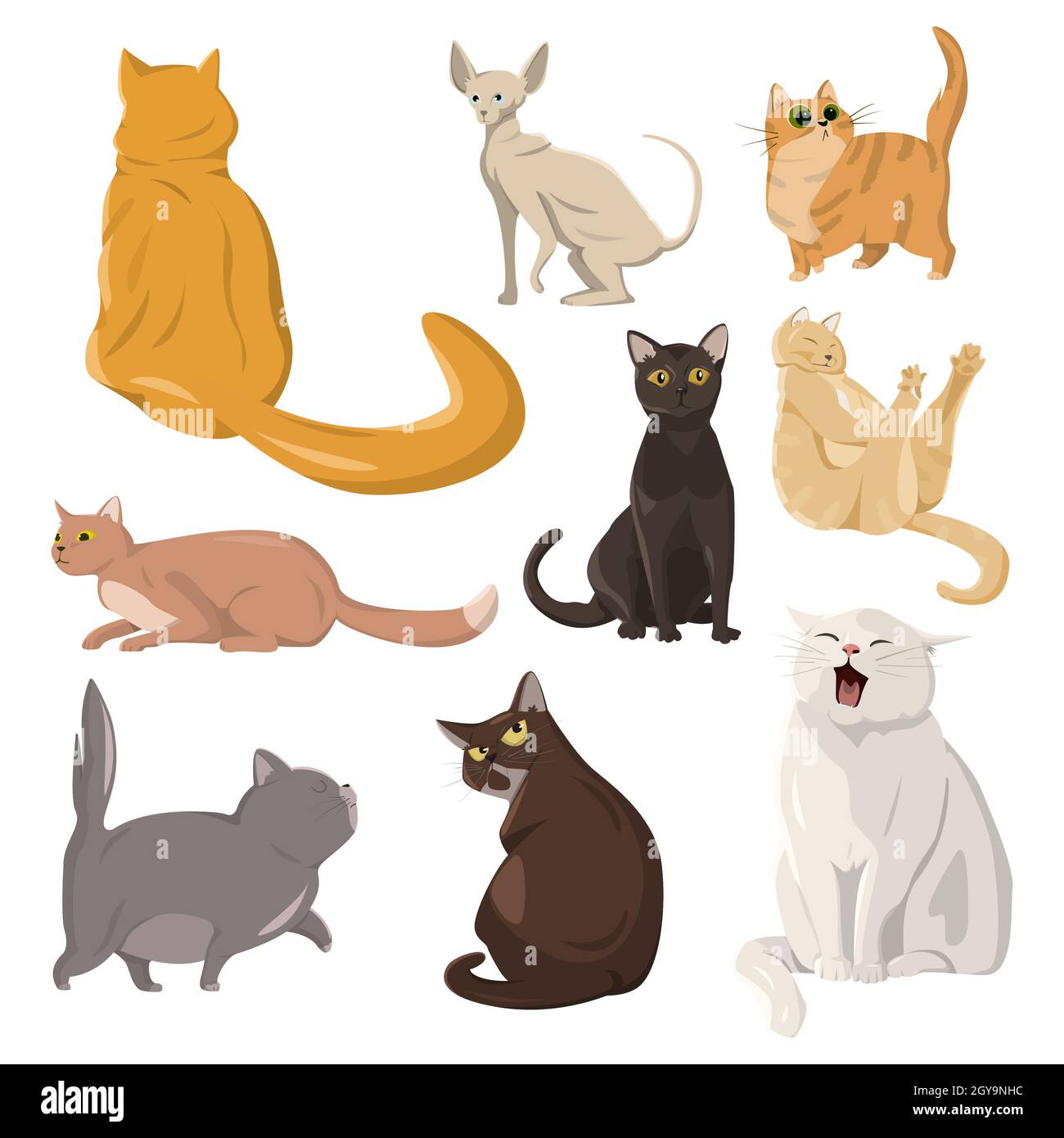 Free Vector  Domestic cat breeds flat icons collection