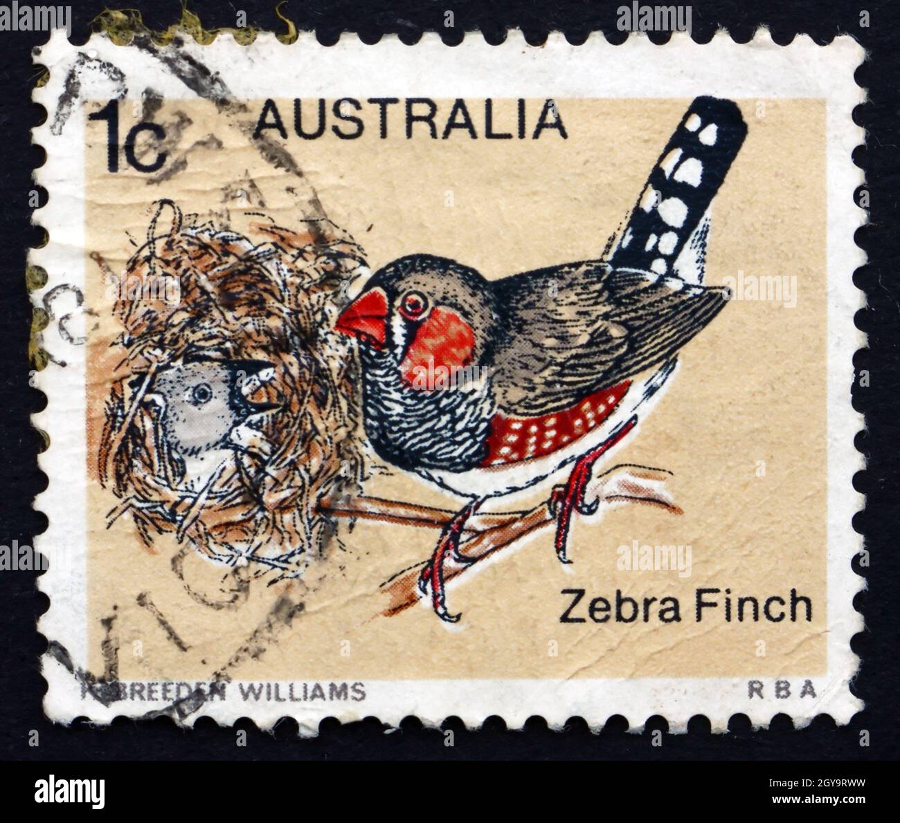 AUSTRALIA - CIRCA 1979: a stamp printed in the Australia shows Zebra Finch, Taeniopygia Guttata, Bird, circa 1979 Stock Photo