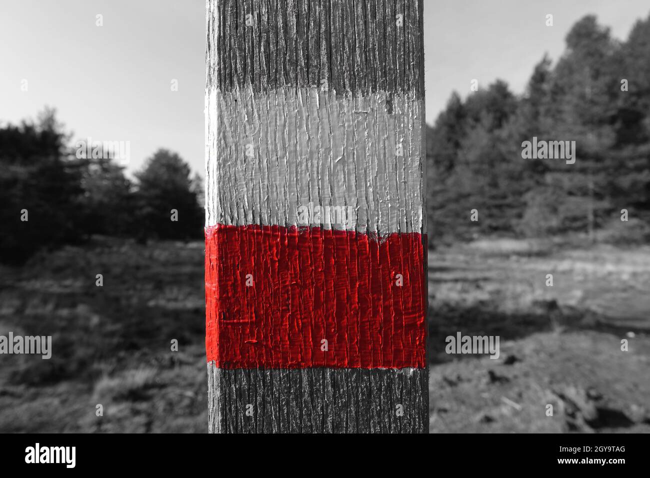 outdoors activity in Sicily red and white marker trail in Etna Park (black and white selective color) Stock Photo