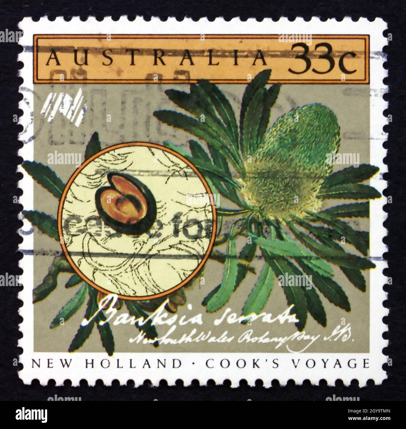 AUSTRALIA CIRCA 1986 a stamp printed in the Australia shows Saw Banksia, Banksia Serrata
