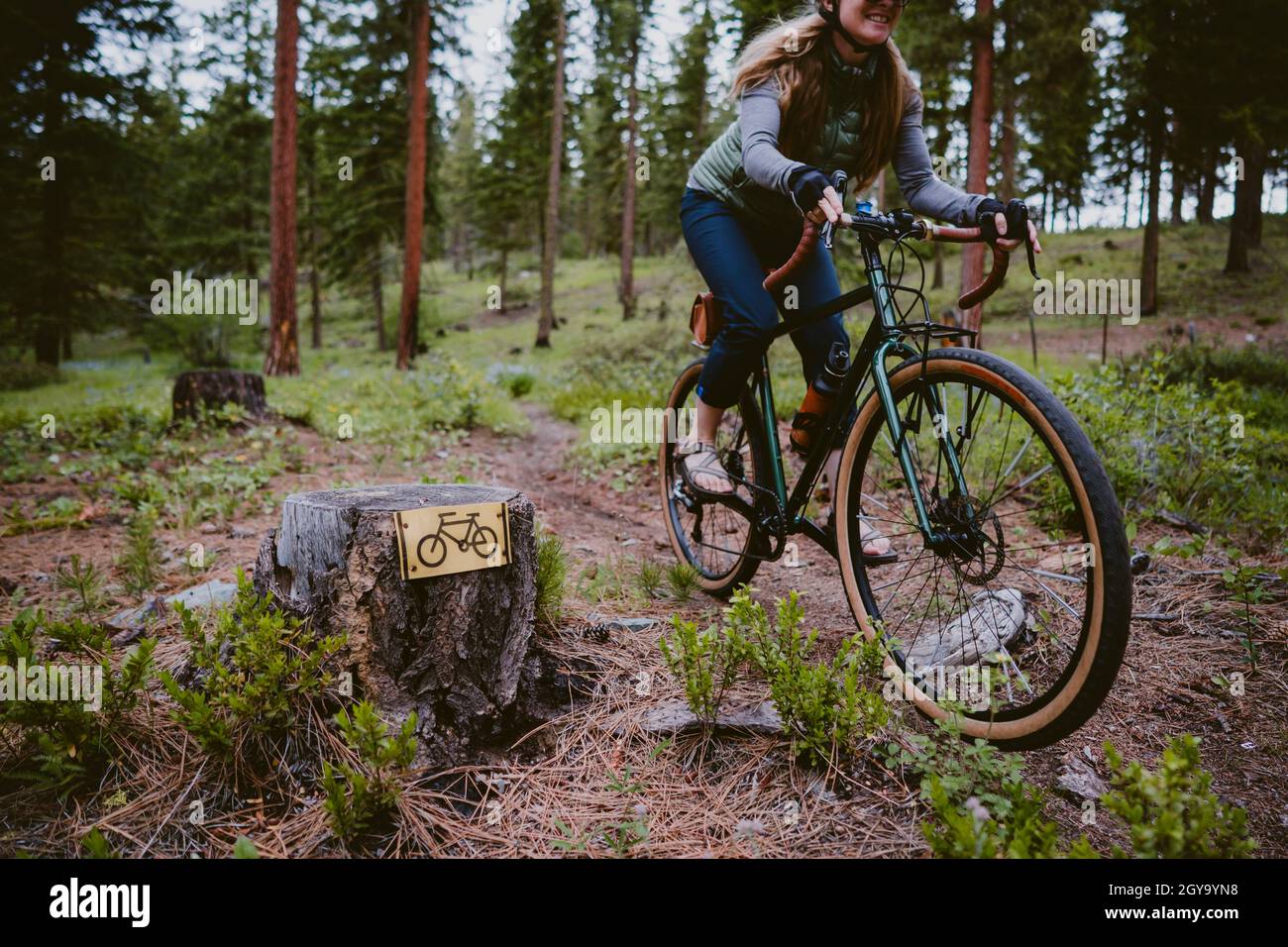 A woman bikes along trail through tall pine trees and wildflowers Stock Photo